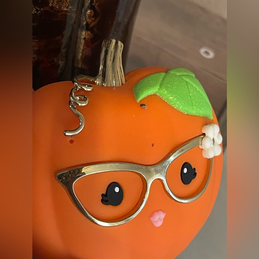 BBW Rare Pumpkin wearing glasses pocketbac holder